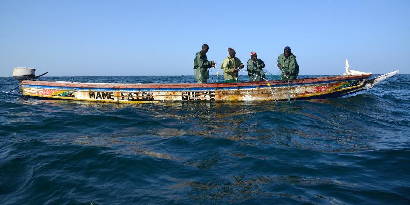 Casamance : huit disparus et un rescapé dans le chavirement d’une pirogue de pêcheurs