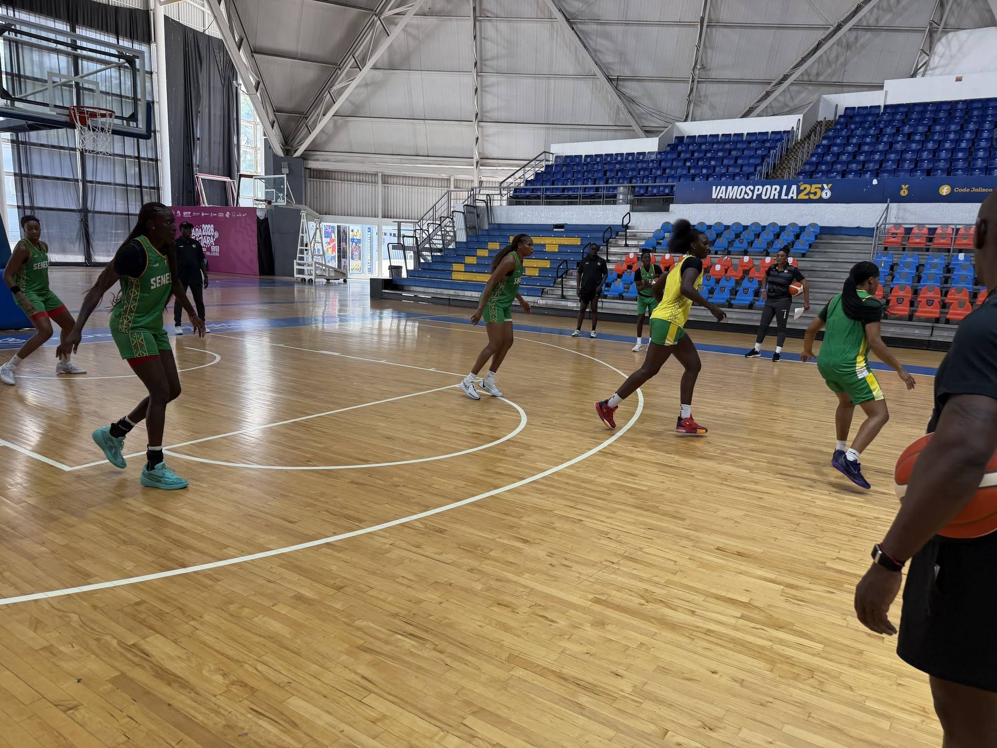 Basket : Cheikh Sarr dévoile sa liste de 12 Lionnes pour les pré-qualifs olympiques, sans Yacine Diop