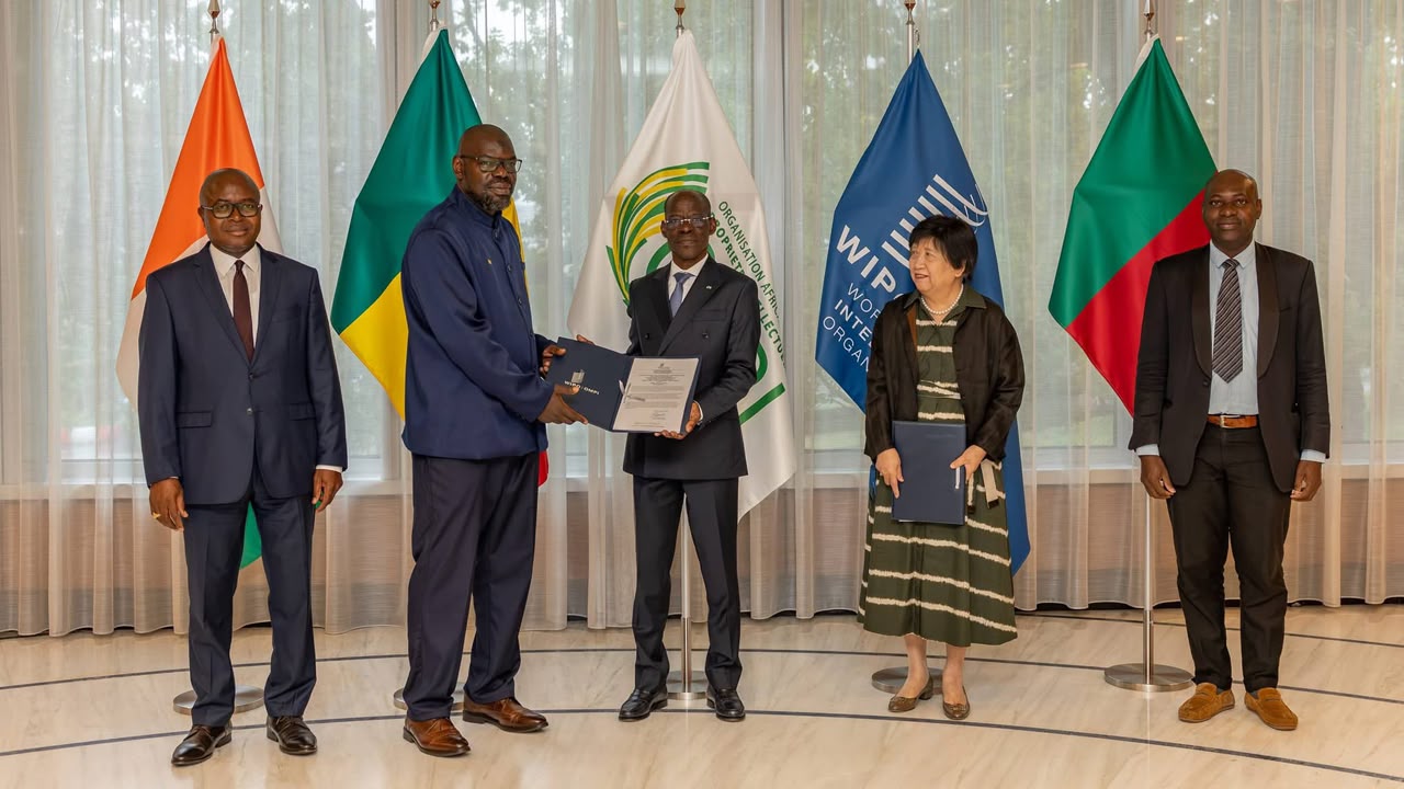 ​Genève: le Madd de Casamance décroche son certificat d’enregistrement international auprès de l'OMPI
