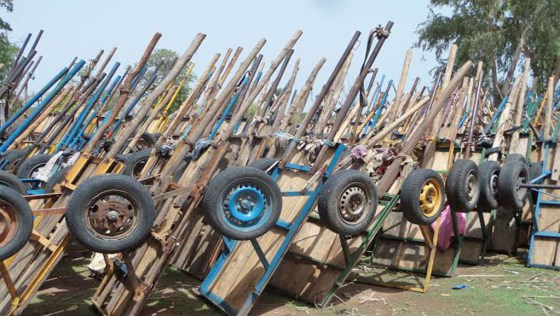 ​Kolda-Coupe abusive de bois : 1003 charrettes remplies de troncs d’arbres saisies en 6 mois