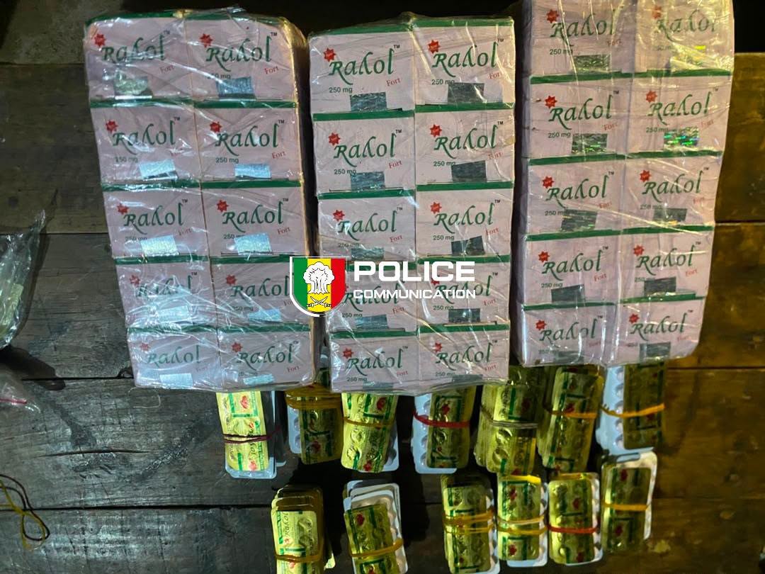 Kédougou : 4 300 comprimés de Tapentadol saisis, un individu interpellé