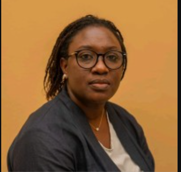 Élections et données personnelles : le docteur Selly Ba interpelle le ministère de l'Intérieur sur la sécurité du fichier électoral