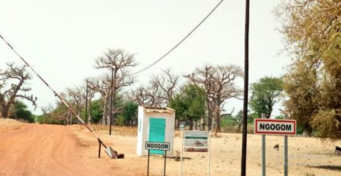Développement local à Ngogom : Mbaye Diouf pointe du doigt le manque de projets d'envergure et d'aménagement du territoire