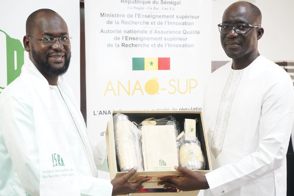 ​Recherche agricole : l'ANAQ-Sup s'engage aux côtés de l'ISRA pour évaluer ses laboratoires