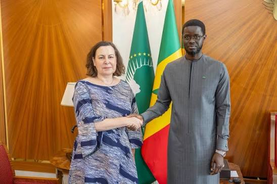 L'économiste Alioune Sarr alerte sur le coût social et économique du programme de 2,2 milliards de dollars du FMI