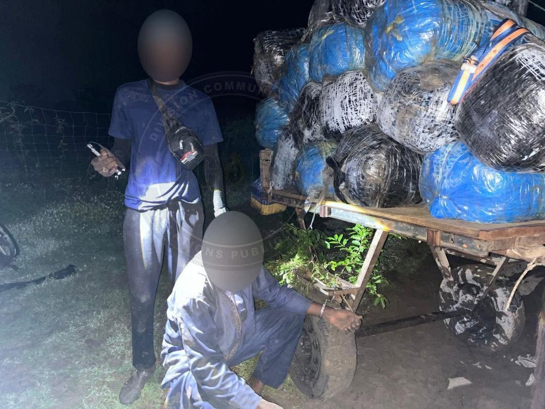 Trafic de drogue à Mbodiène : 427 kg de chanvre indien saisis par la gendarmerie de Mbour, un individu interpellé