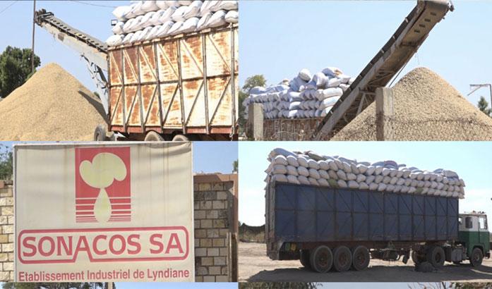 Agro-industrie : le DG de la Sonacos annonce un complexe de 18,75 milliards de F CFA à Médina Yoro Foulah