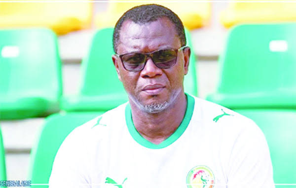Équipe nationale féminine : Alioune Abatalib Fall nommé nouveau sélectionneur des Lionnes