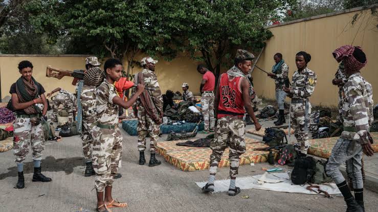 Éthiopie : L'armée affirme avoir tué 272 rebelles tigréens sur fond de reprise des combats en Amhara