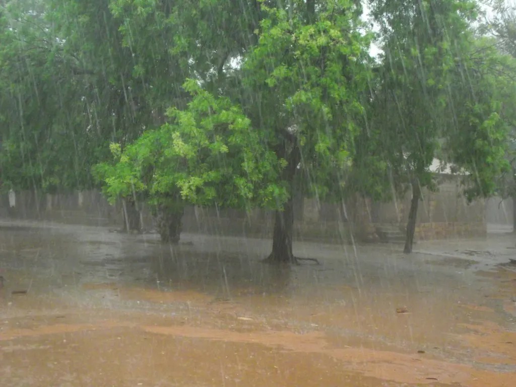 Pluies et orages : l’ANACIM annonce une nouvelle perturbation sur plusieurs régions du Sénégal
