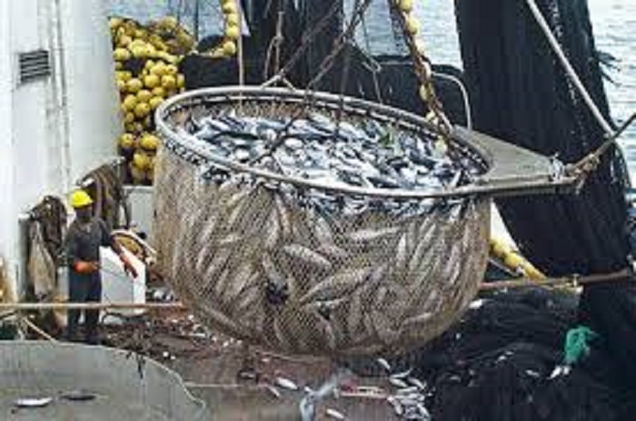 Sénégal : Bonne performance du secteur primaire avec une hausse de 11,1% en mai 2016