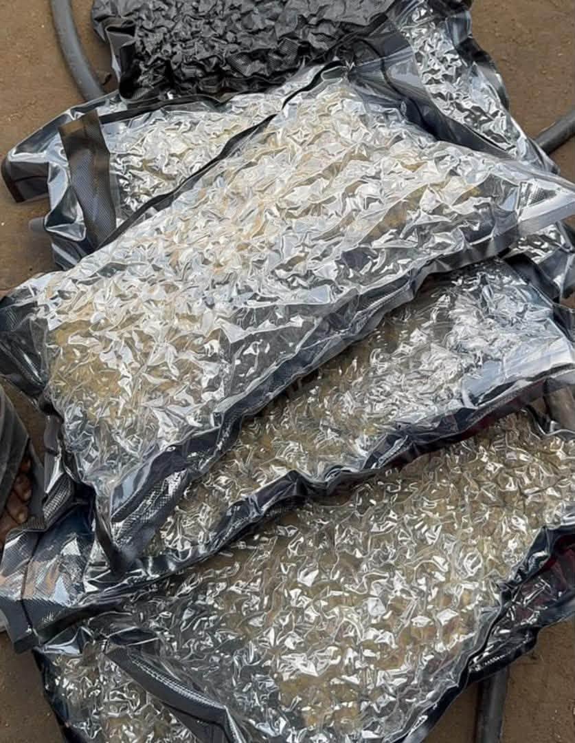 Dakar : les Douanes saisissent 10 kg de « Skunk » dissimulés dans des pneus, pour une valeur de 120 millions FCFA