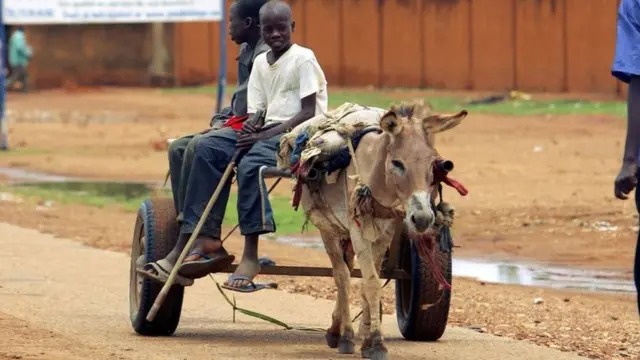 ​Sécurité alimentaire, transport et urgences climatiques : Le rôle vital des équidés de travail au Sénégal