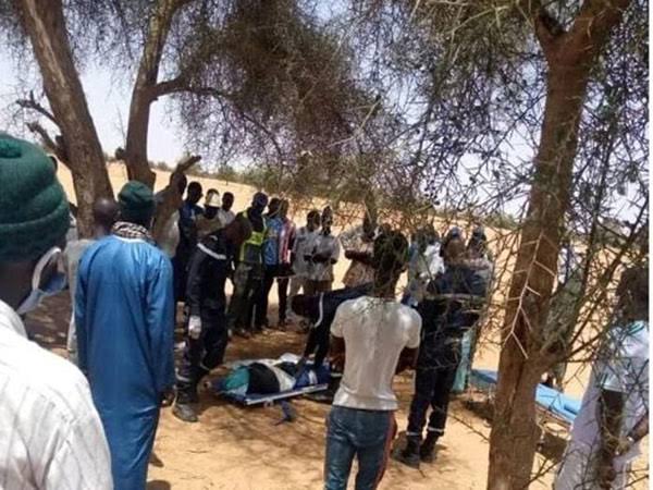 ​Kébémer : un berger de 17 ans tué dans une présumée attaque à la machette