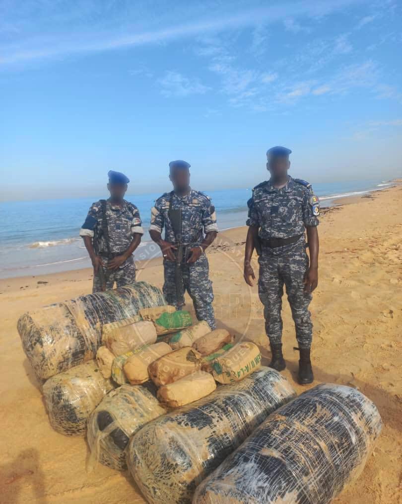 Nianing : la gendarmerie met la main sur 205 kg de chanvre indien