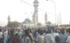 ​Touba : Le Khalife investit son neveu