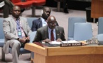 Soudan du Sud: l'ONU autorise l'envoi de 4 000 casques bleus supplémentaires