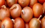 Filière oignon: les importations reprennent ce lundi 