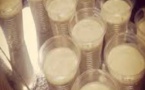 Kaolack : 9000 boîtes de yaourt saisies par les services d’hygiène