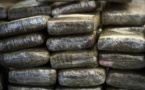 Trafic de drogue : le mari et ses deux épouses tombent avec 3,250kg de drogue