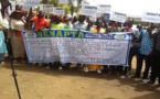 Reportage veille-tabaski : Grève annoncée du RENAPTA, pas d'impact réel sur le réseau Wari