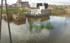 Keur Massar : La Cité Sotrac submergée par les eaux de pluies, appelle à l'aide 