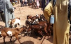 ​Mali: 40 personnes contaminées par l'épidémie de fièvre hémorragique