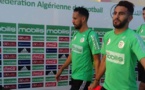 L'Algérie à pied d'œuvre pour le duel contre le Cameroun