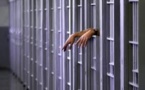 Brésil: 18 morts en prison dans une guerre du crime organisé