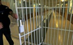 Les enfants issus de l’immigration surreprésentés en prison