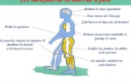 Santé : Découvrez Les bienfaits de la marche à pied les résultats sont surprenants !