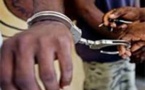​Kédougou : 4 malfaiteurs maliens arrêtés