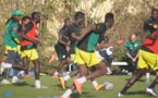 Les "Lions" en regroupement à Johannesburg: 7 joueurs manquent encore à l'appel