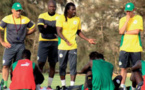 Afrique du Sud / Sénégal: première séance d'entraînement des "Lions" à Johannesburg