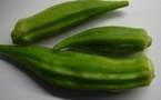 Nutrition : les incroyables bienfaits du gombo