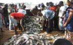 Pêche : 2 millions de F Cfa perdus chaque année