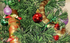 Un serpent-tigre se glisse dans le sapin de Noël d'une Australienne