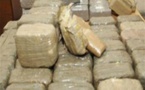 Kolda : la Douane saisit 117 kg de chanvre indien d’une valeur de plus de 7 millions de francs CFA