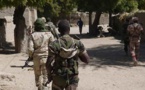 ​Des miliciens nigériens de Boko Haram se sont rendus aux autorités, selon Niamey