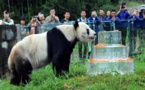 Le plus vieux panda mâle du monde est mort en Chine