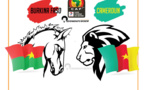 CAN 2017 DIRECT Burkina Faso / Cameroun: la 1ère place de la Poule A en jeu