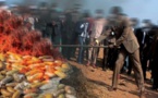 Lutte contre les produits illicites : La douane de Kaolack réclame plus de moyens