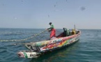 Licence de pêche : les autorités mauritaniennes vont ouvir leurs eaux  Sénégalais