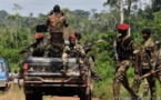 ​Côte d'Ivoire: Mutinerie des forces spéciales à Adiaké, Abidjan évoque 2 blessés et déplore ce mode de revendications