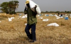 ​Famine au Yémen, Soudan du Sud, Nigeria et Somalie: l'appel à l'aide de l'ONU