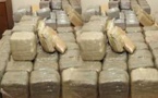 Thiès: saisie de 12 kilos de chanvre indien par la Police