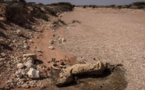 Somalie : la faim tue 110 personnes