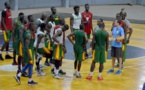 Tournoi Zone 2 de Bamako : la liste des douze (12) Lions retenus