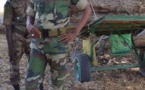Mort de Sampa Dramé : les deux gardes forestiers libérés faute de preuves