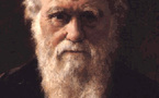 Opinion - Science: Rendre à Dieu ce qui appartient à Darwin